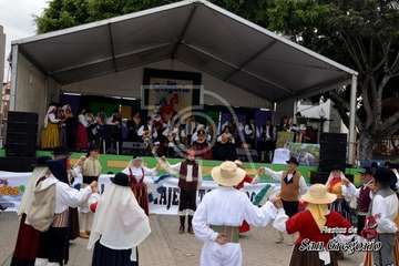 II Festival Tajea y Torna 7 Islas en Los Llanos de Telde (Francisco Javier Santana)